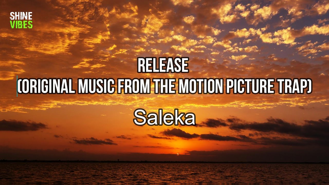 Saleka - Release (Lyrics) (Original Music From The Motion Picture TRAP) | I see danger
