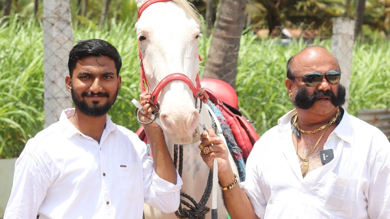 പൊള്ളാച്ചിയിലെ കിടിലൻ കുതിര ഫാം വില സഹിതം| vegam horse club pollachi|பொள்ளாச்சி குதிரை பண்ணை