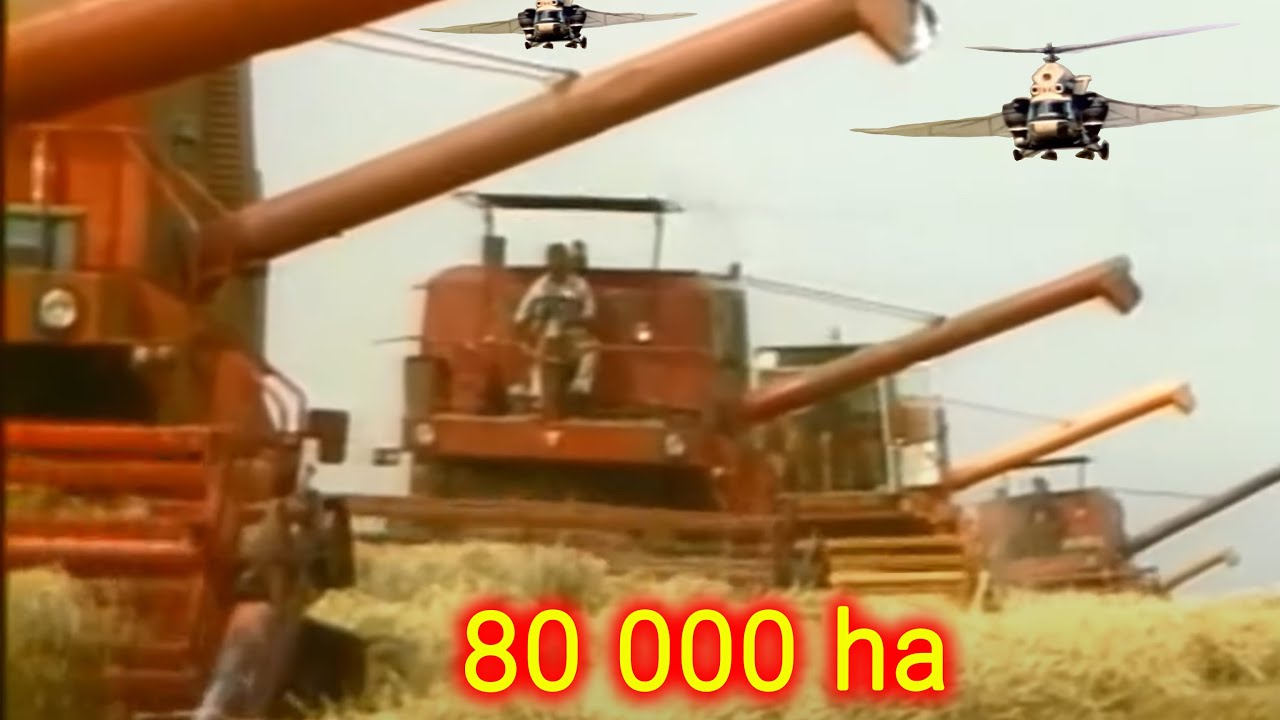 Największy Kombinat w Europie 👉 80 000 ha 👉 35 tys pracowników 👉 Dlaczego upadł gigant?