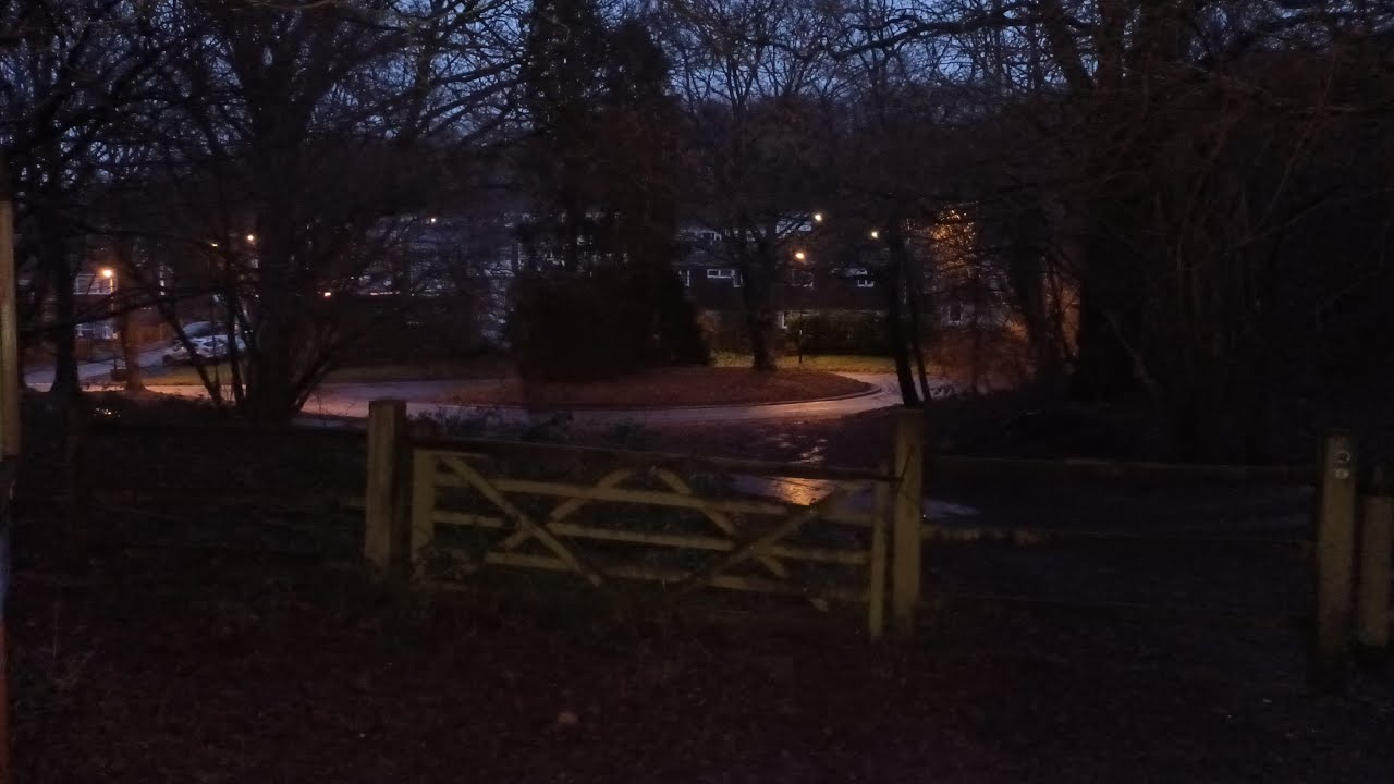 Walking about in Selsdon Woods Live! 15/01/2026 - Mobile Stream (1004)