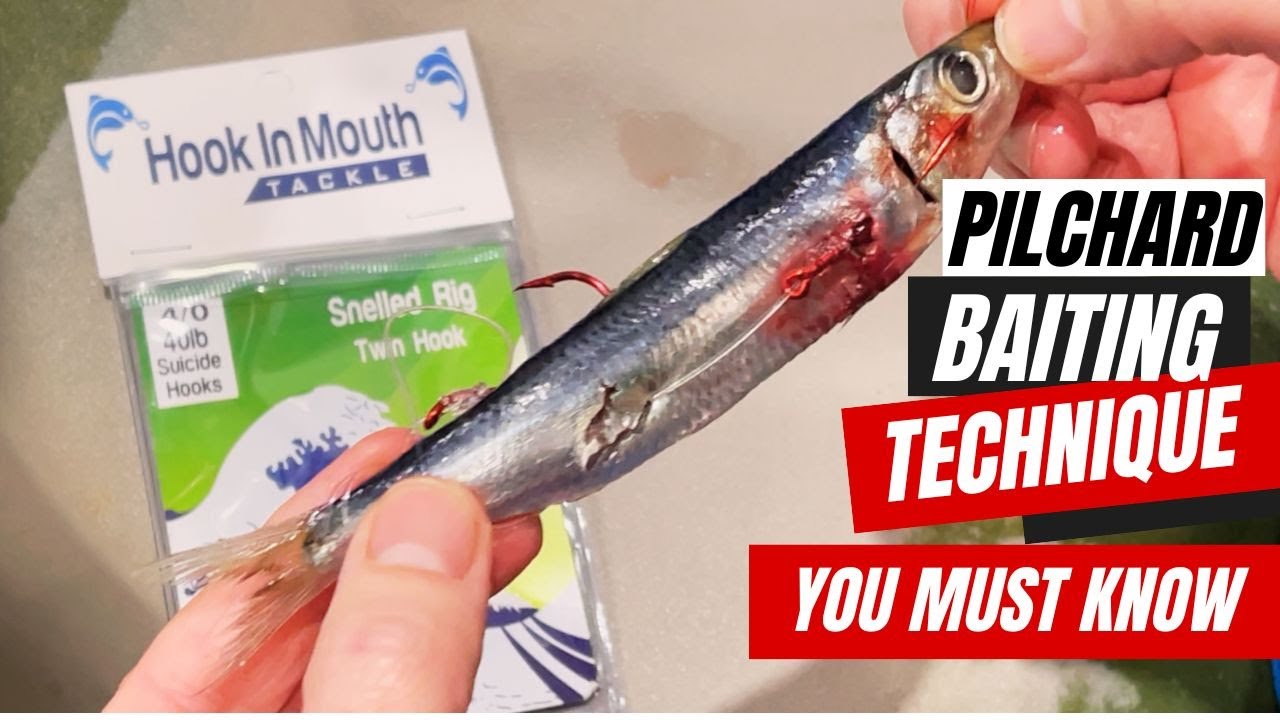 How To Bait Up A Pilchard On A Twin Snelled Snapper Rig