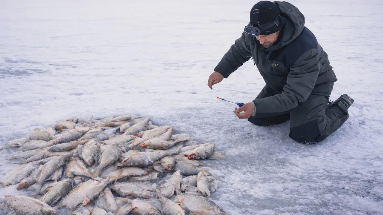 Hauling in Huge Fish Nonstop in Astrakhan — So Many Bites, I Couldn't Keep Up!