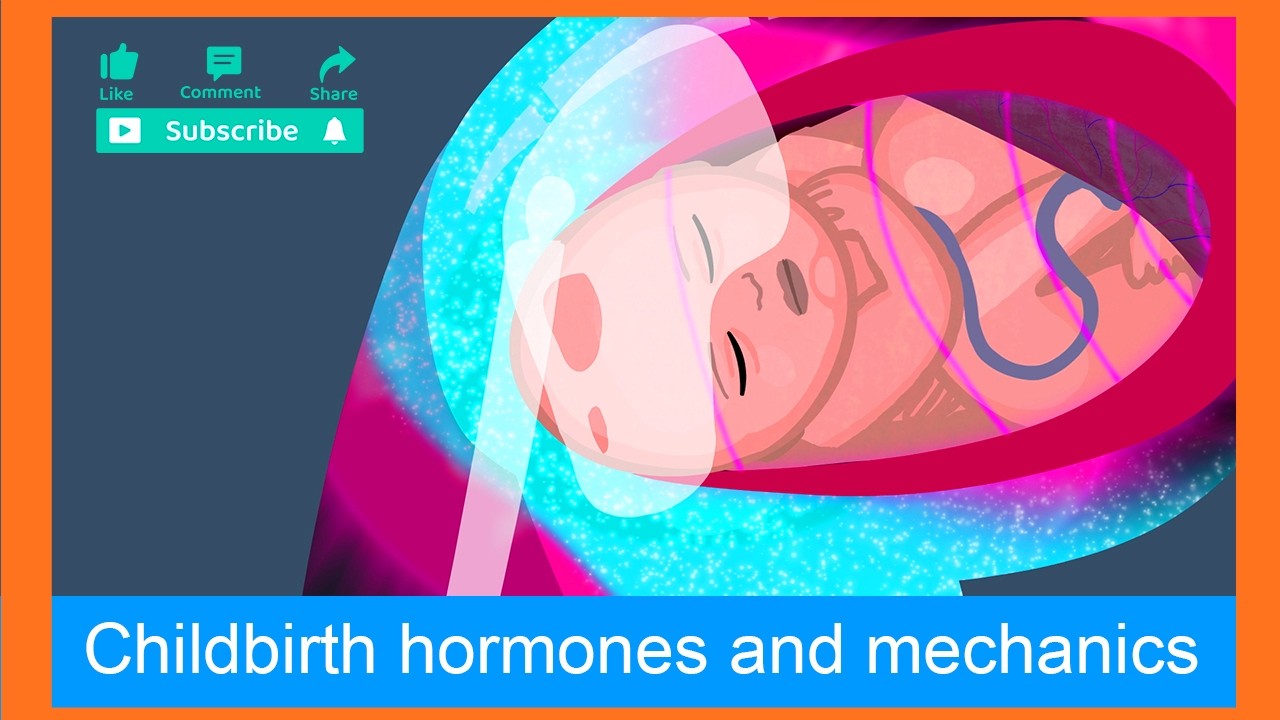 The Physiology of Childbirth (with credits)