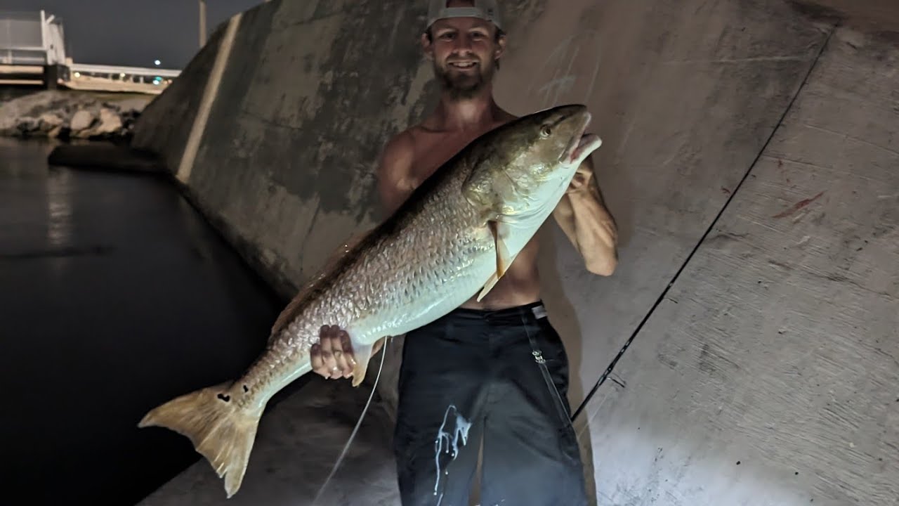 MASSIVE BULL RED BRIDGE MONSTER Jacksonville FL