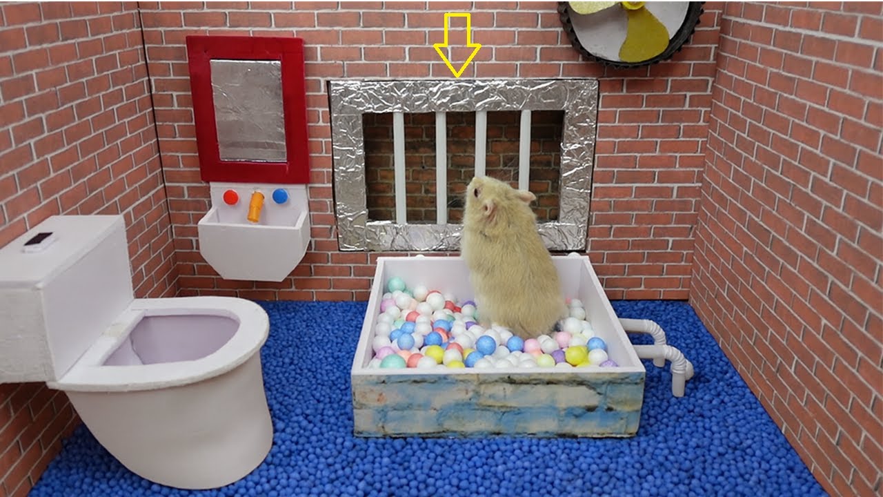 The Great Hamster Escape: Surviving Traps and Trials to Reach His Tiny Home