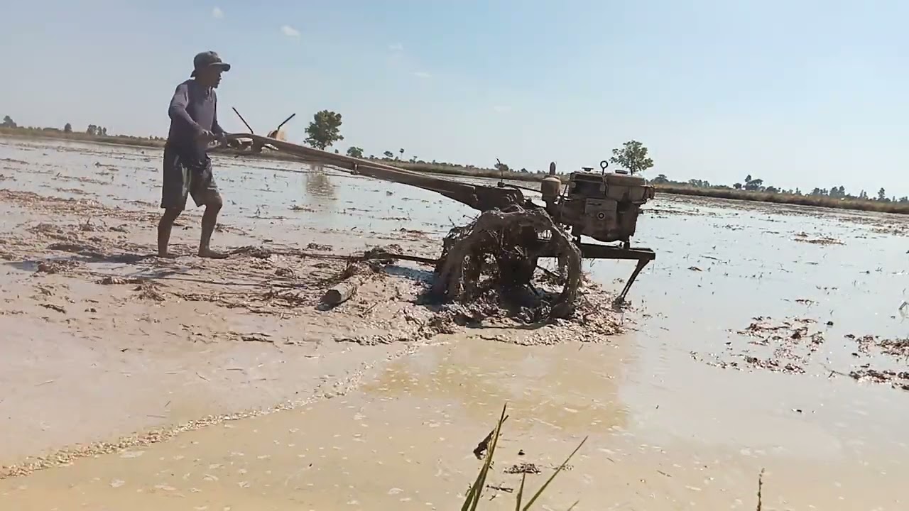 កសិករដល់រដូវបង្កបង្គើនផលទៀតហើយ