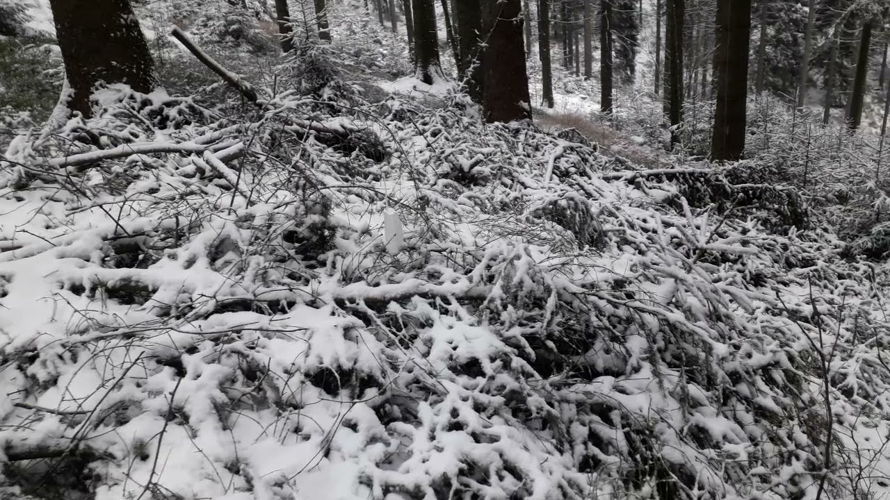 Radiosonda meteorologiczna RS41-SG Praga T0921123 okolice Głuszycy 28.11.2021