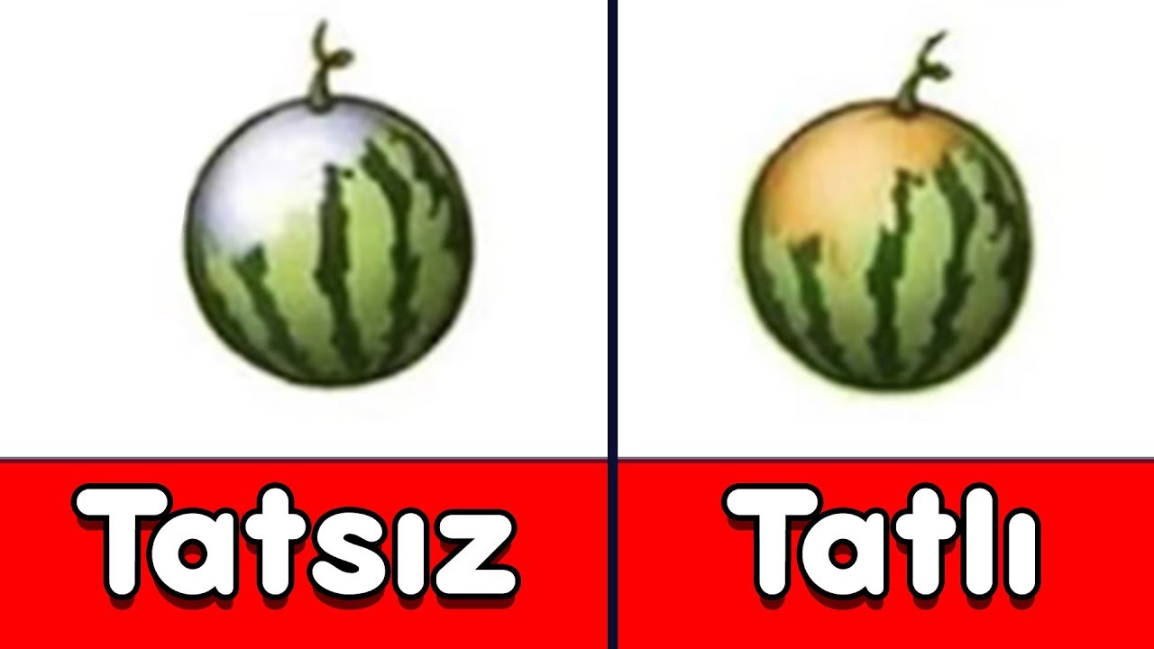 Karpuz Seçme Yöntemlerini Test Ettik - Hangileri İşe Yarıyor?