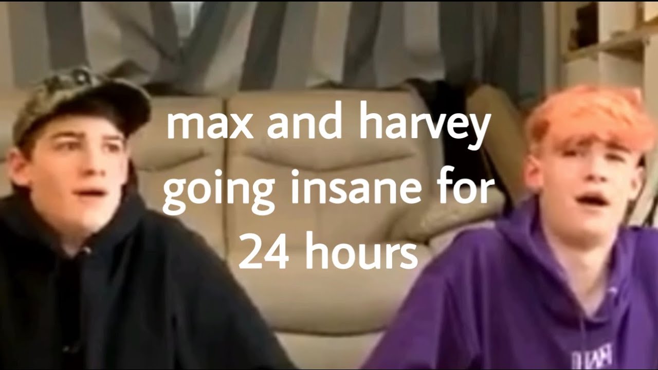 a summary of watching max & harvey go insane for 24 hours