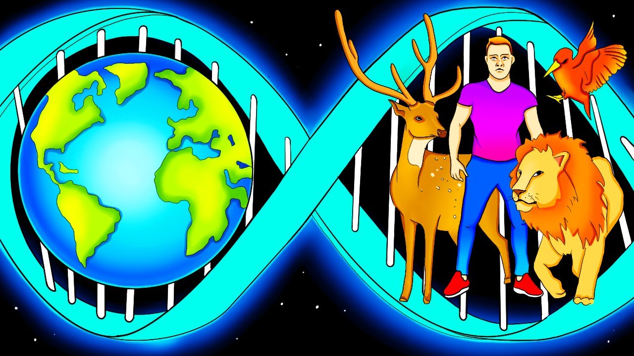 İnsanlar ve Hayvanlar Sonsuza Kadar Yaşasalardı Neler Olurdu?