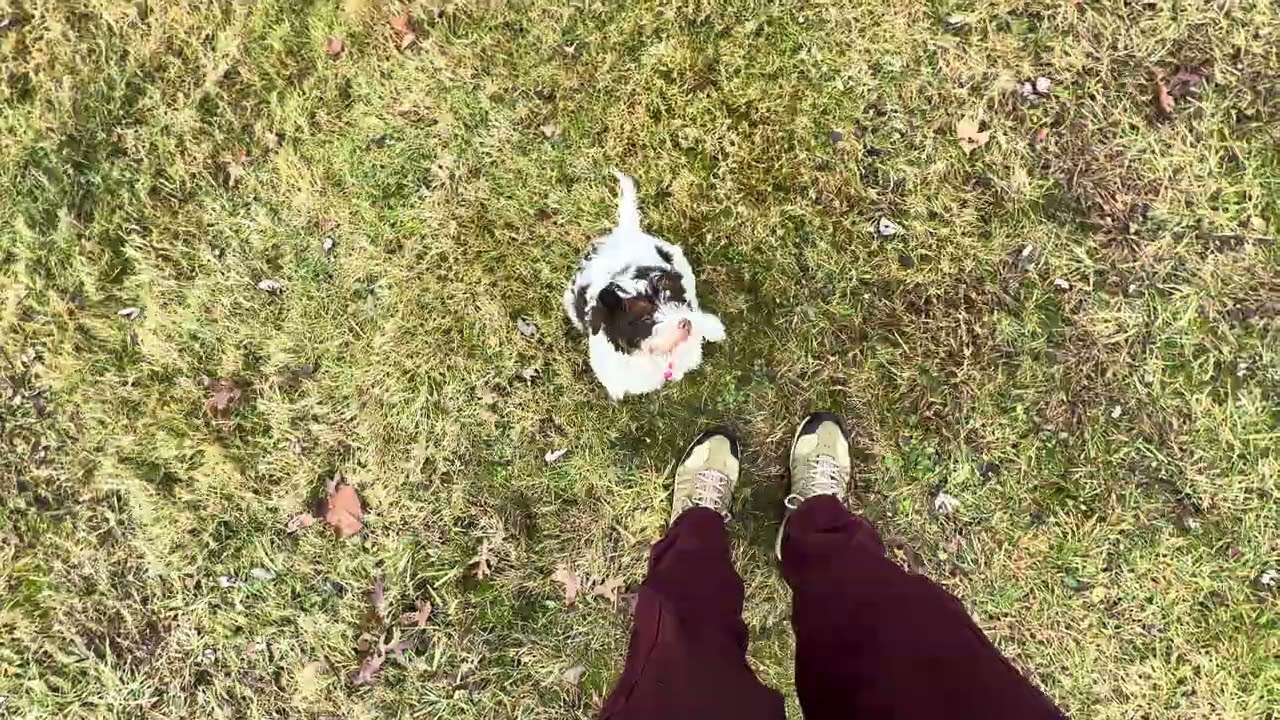 Ramona Outdoor Session with Harness 