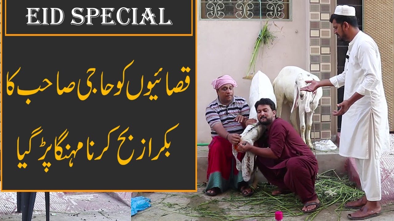 Faisal Ramay Ne Kiye 2 Bakray Zibah😨 | Mitha Puria | Freed Sabri | Sajjad Jani Official