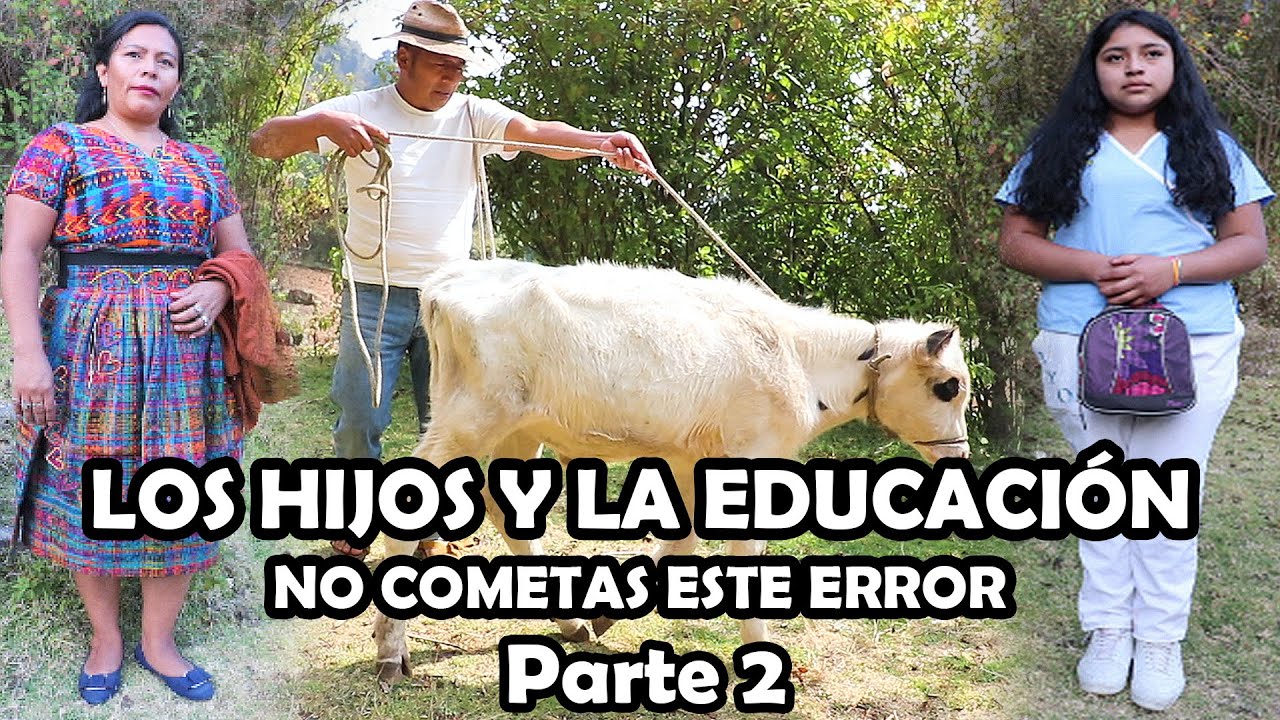 LOS HIJOS Y LA EDUCACION Parte 2 Reflexión
