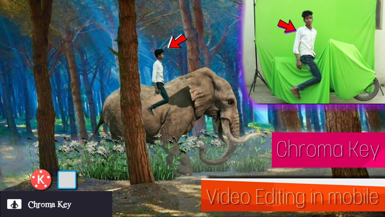Elephant Tribute Green Screen Manipulation. VFX Breakdown, video editing, Elephant green screen.2020