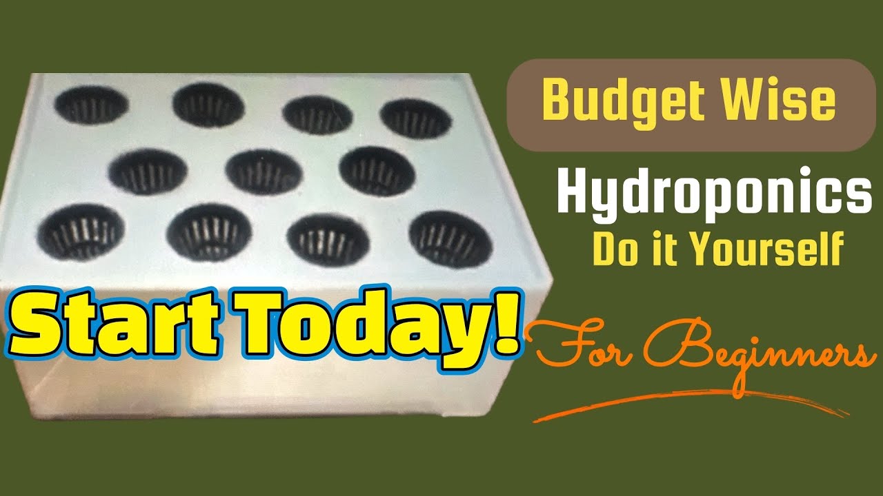 How to Make Hydroponic Vegetable Garden at Home - Easy for Beginners