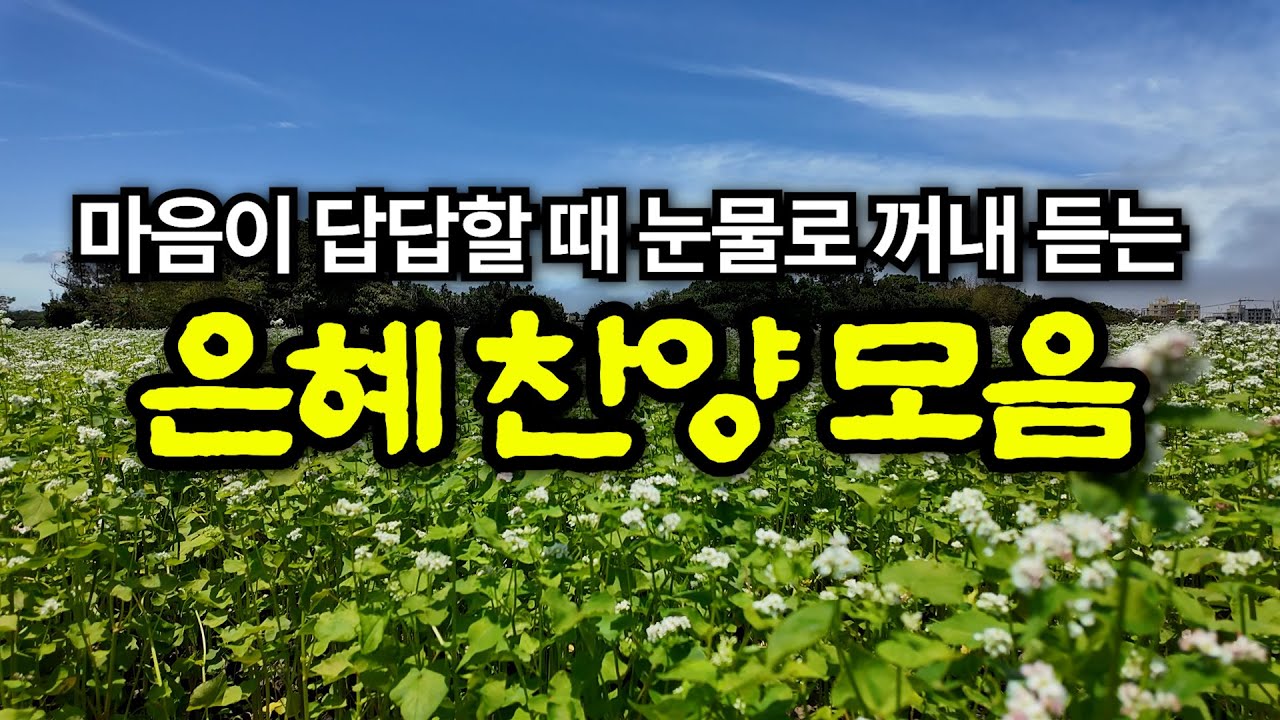 [평안찬송모음] 지금까지 지내온 것 | 고백과 기도음악 | 기도와 명상 | 눈물로 기도하며 불렀던 그날의 찬양 | 새벽기도용 10시간 연속재생 | 중간광고없음 | Hymn