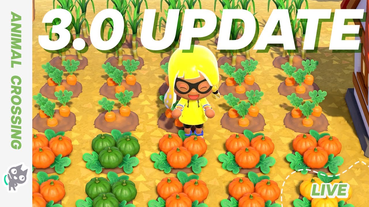 【ACNH 3.0 Island Stuff!】