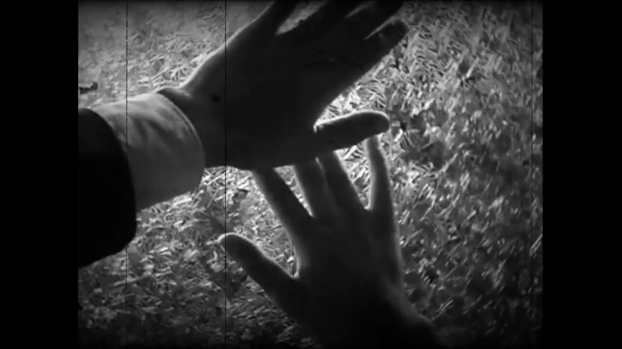 The Films of Ingmar Bergman
