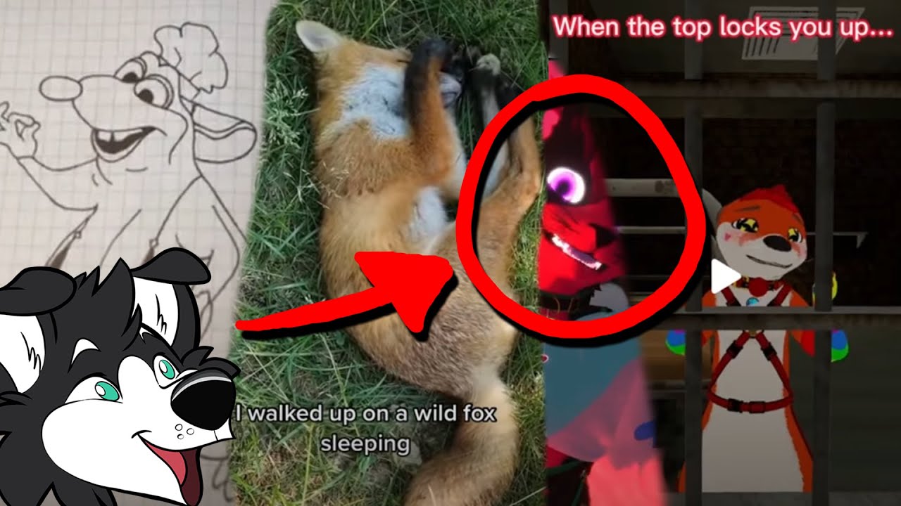 Furry TikToks that'll turn you into your sona