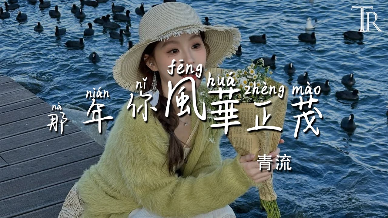 那年你風華正茂 - 青流『Na Nian Ni Feng Hua Zheng Mao - Qing Liu』#無損音樂