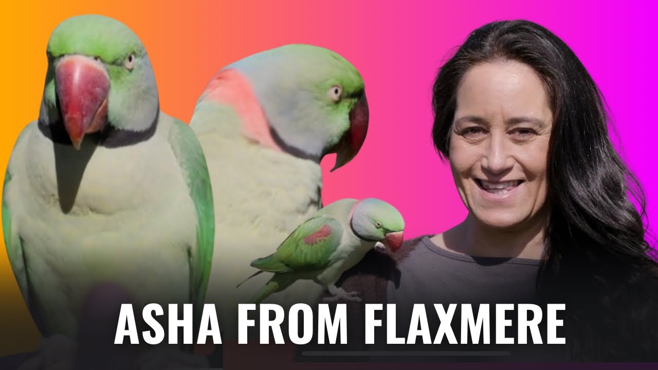 We’ve had Opo the Dolphin now meet Asher from Flaxmere