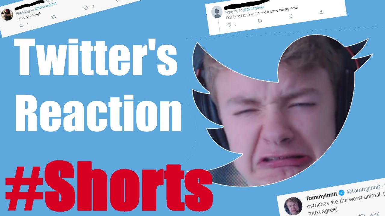Twitter's reaction to Tommyinnit #Shorts