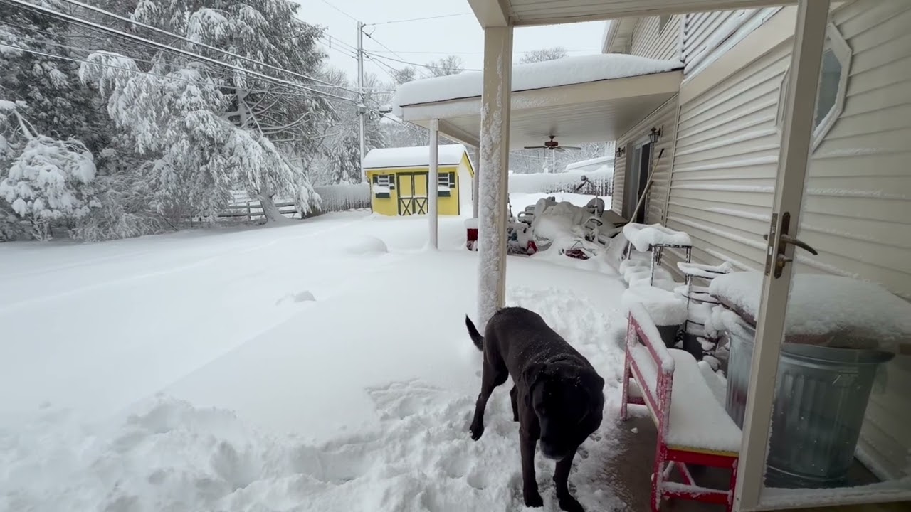 February 23, 2026 #snow #snowstorm 