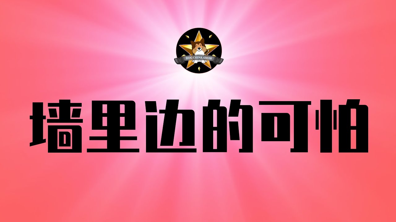 一个海归博士后小粉红是如何在三天之内被党国玩死的：为中华崛起而读书，最终成为党国维稳体制下的悲剧！｜清华大学｜博士后｜中南海｜美国留学｜移民｜维稳
