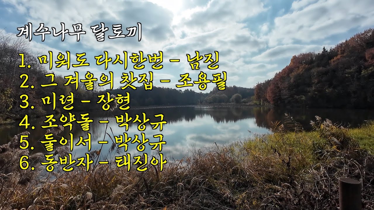 [playlist] 계수나무 달토끼