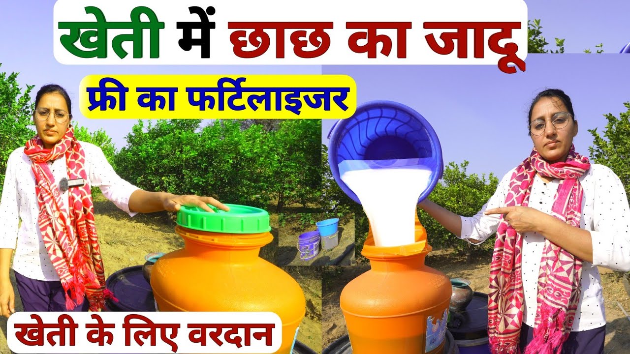 महंगे फर्टिलाइजर 🤗फंगीसाइड ➕️ कीटनाशक से कई गुना ताकतवर💯 Organic Fertilizer | npk fertilizer | kheti