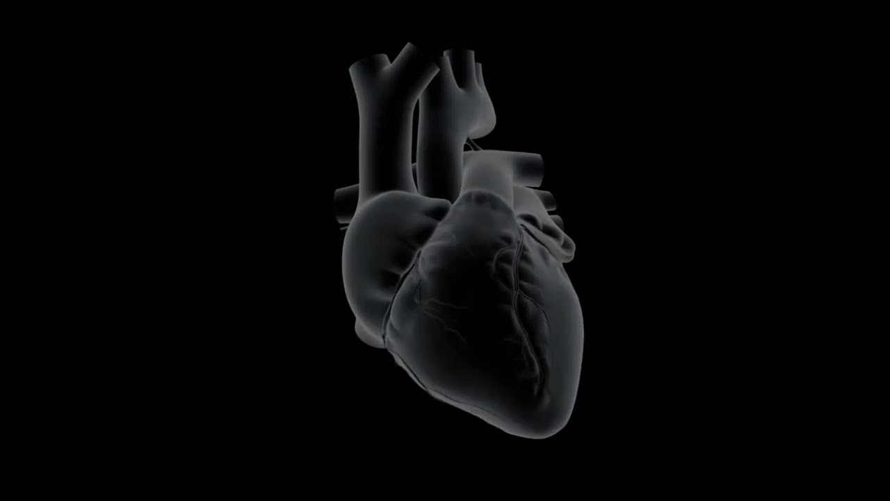 HEARTBEAT (60bpm) to failure and revival 🫀 with with a woman's breath