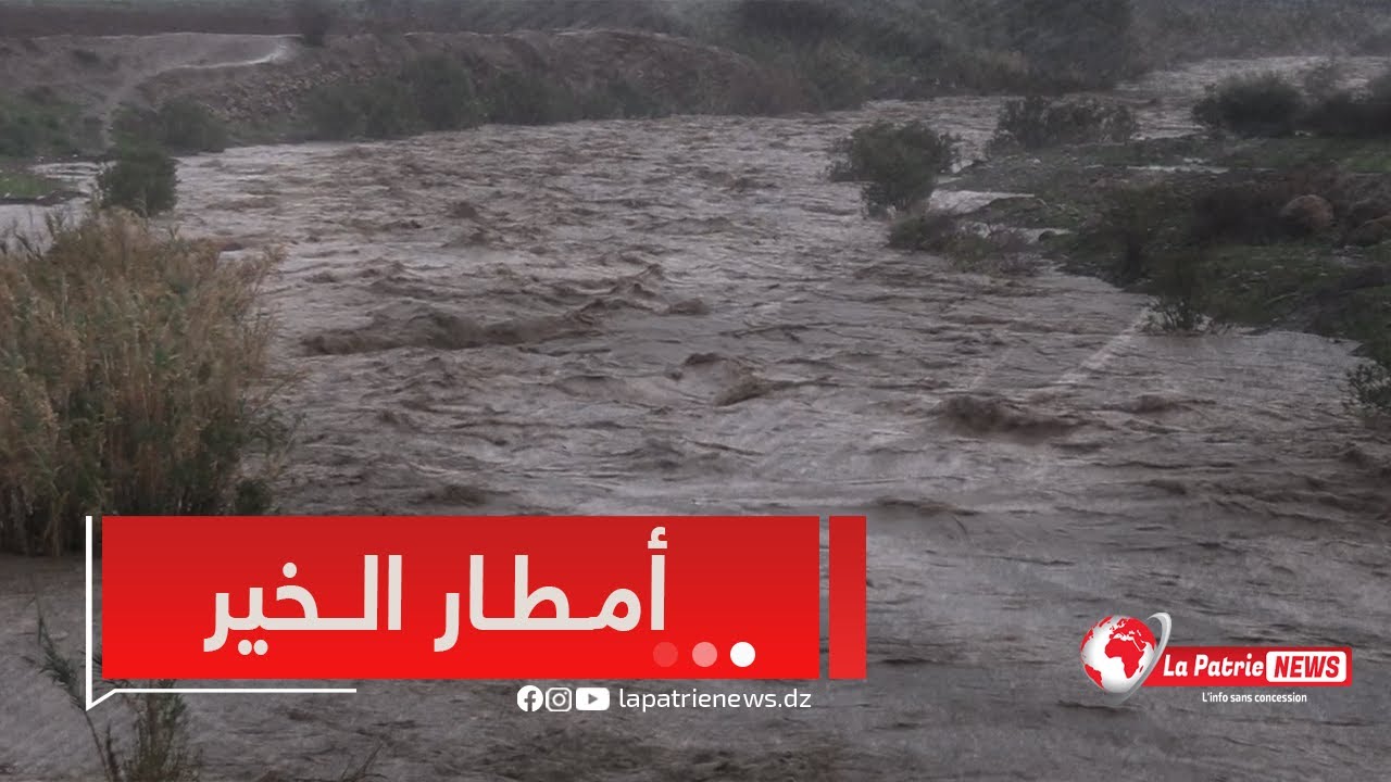 #عين_الدفلى الأمطار🌧️دفعة إيجابية للفلاحة ونزول الغيث يُنعش الآمال ويرفع منسوب التفاؤل وسط الفلاحين🌳