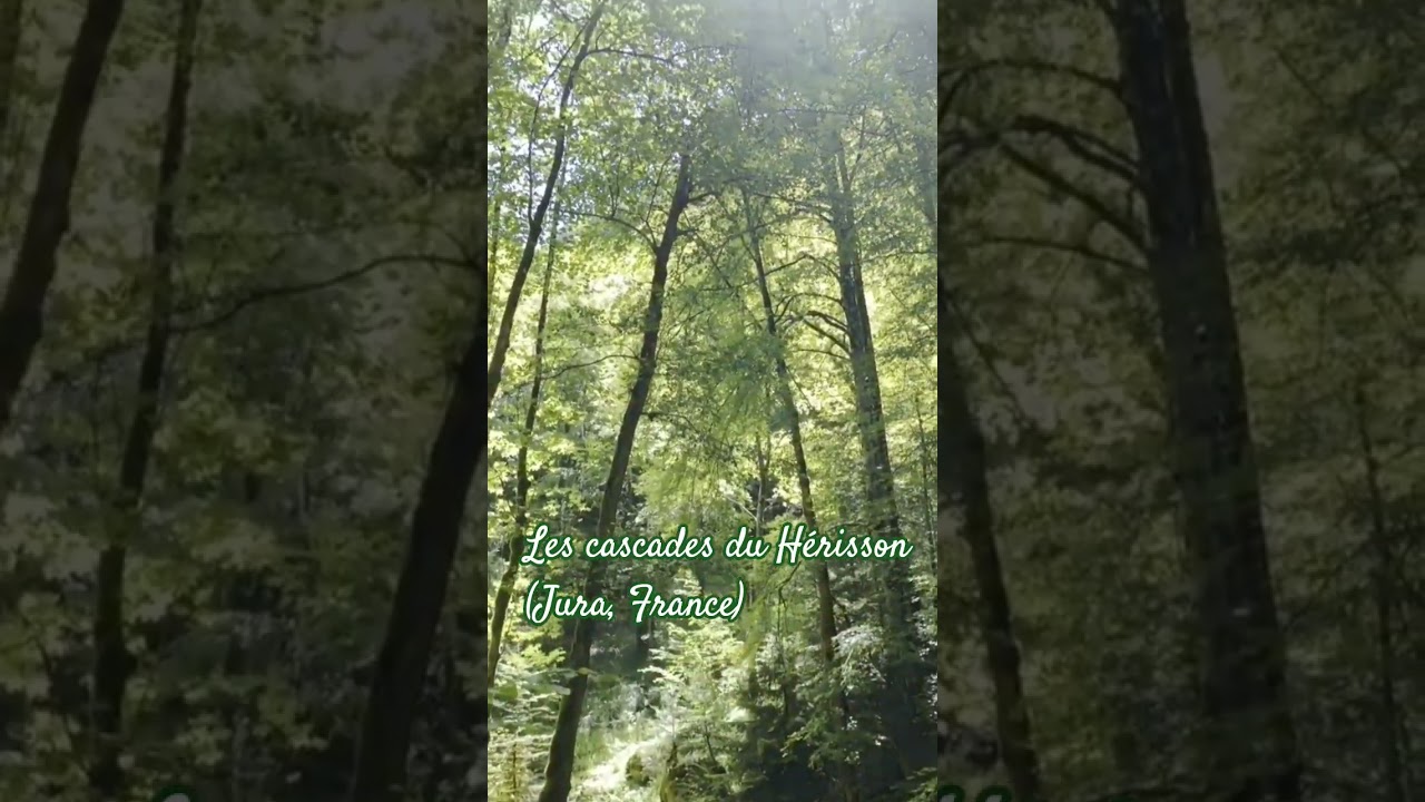 les cascades du H&eacute;risson, Jura, France #relaxing #relax #relaxingmusic #nature #france #travel