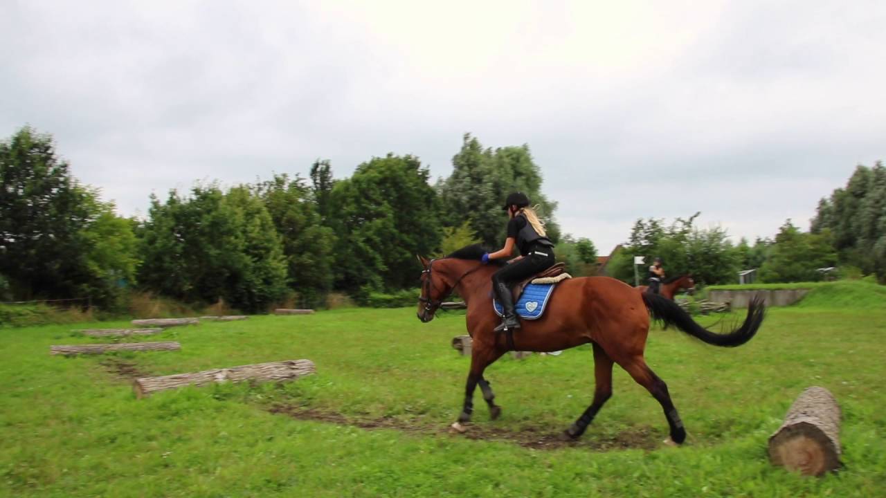 Stal Ermelo gaat crossen