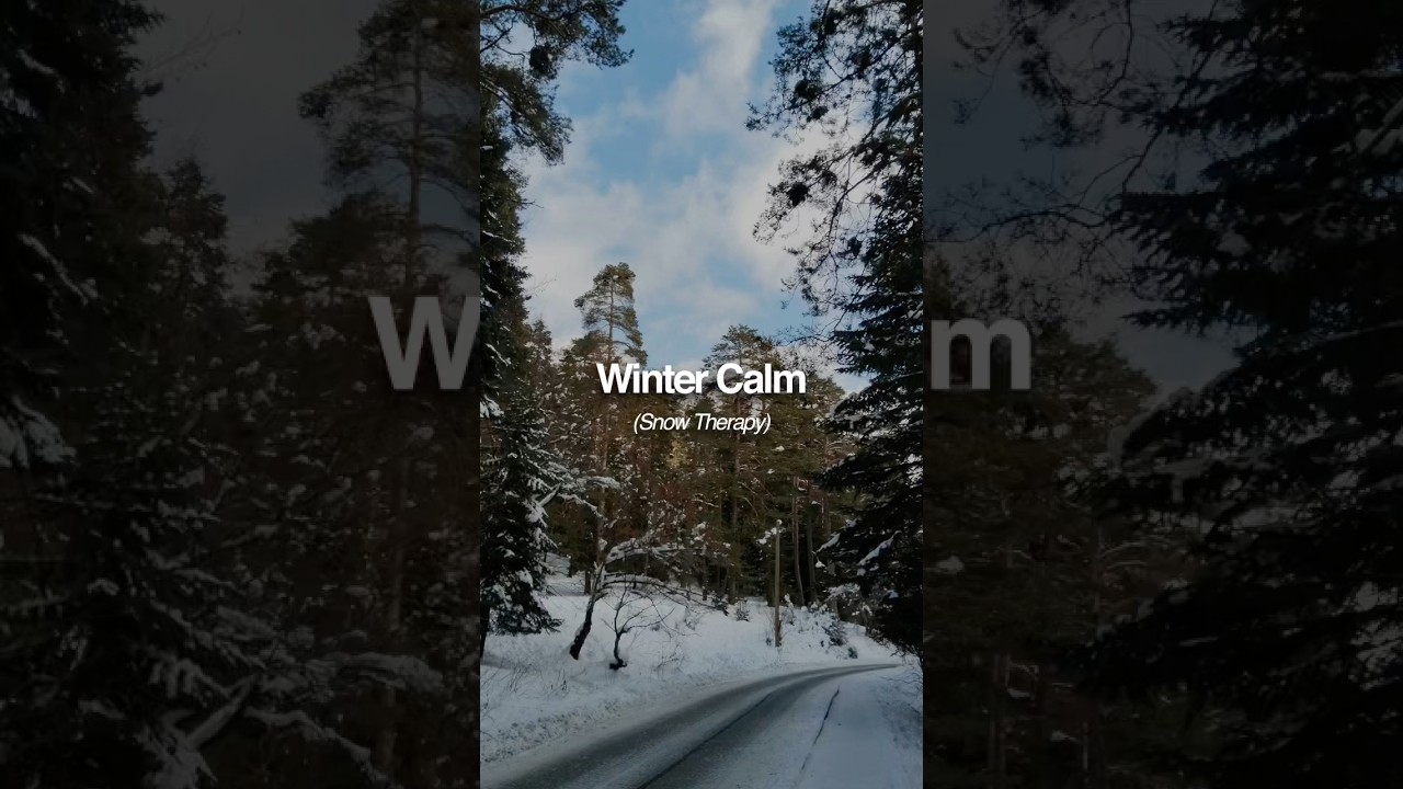 “Snowfall Peace ❄️ | 30s Winter Calm | Rush Relax ASMR 