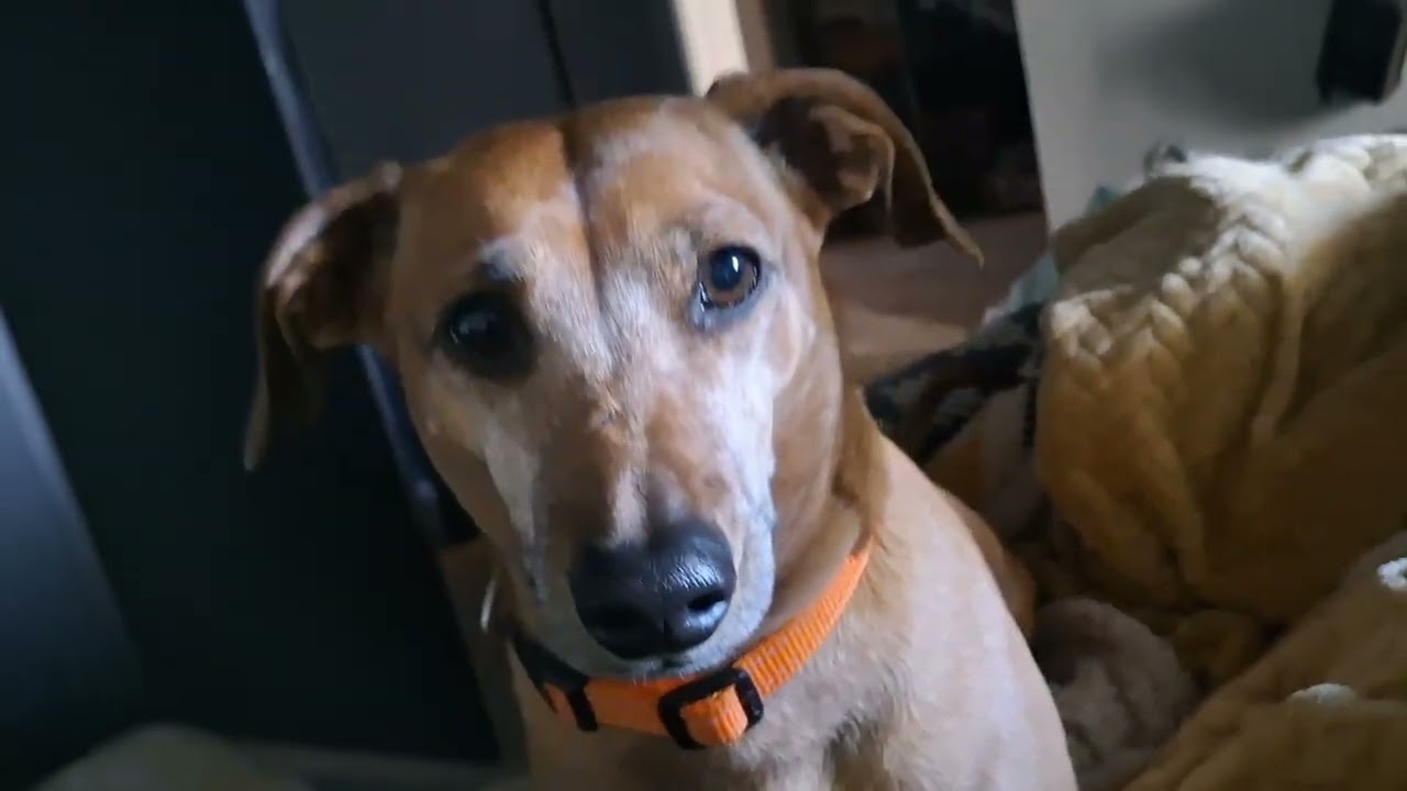 Ons is nou moeg gewerk