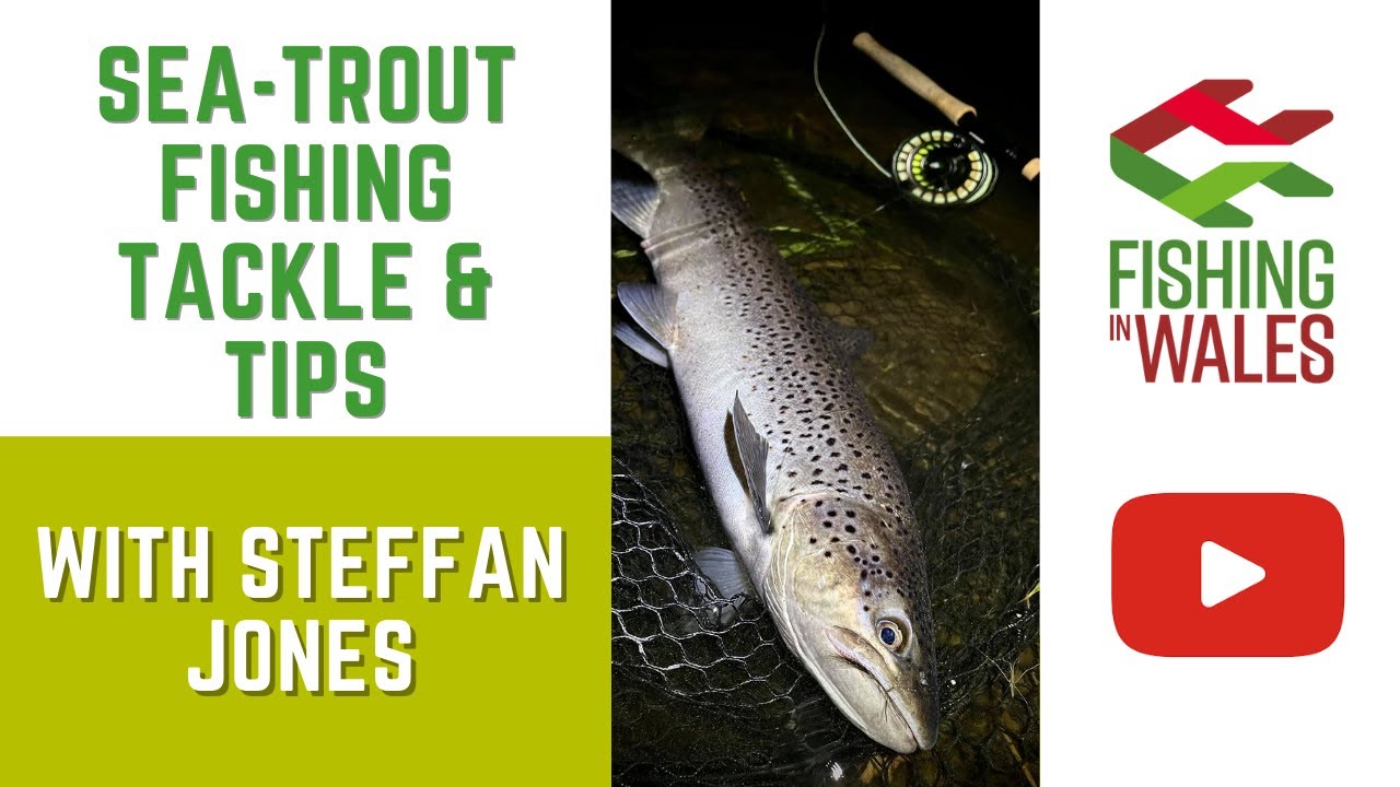 Fishing in Wales - Sea Trout Fishing Tips and Tackle