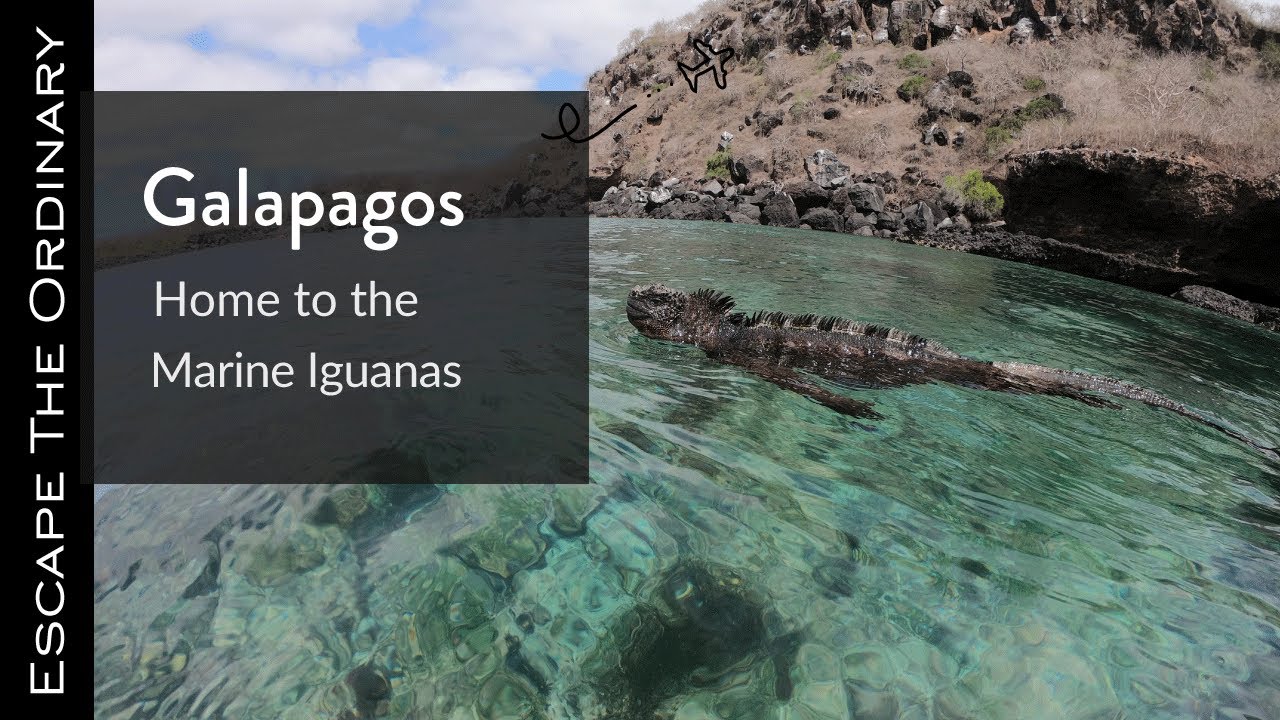 Cerro Brujo  and Kicker Rock in the Galapagos Islands