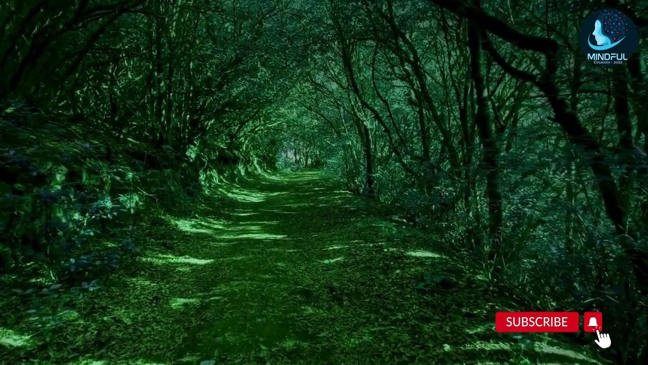 Remarkable Meditation Music Beautiful Keys & Heartfelt Melodies #MeditationMusic #MindfulnessSounds