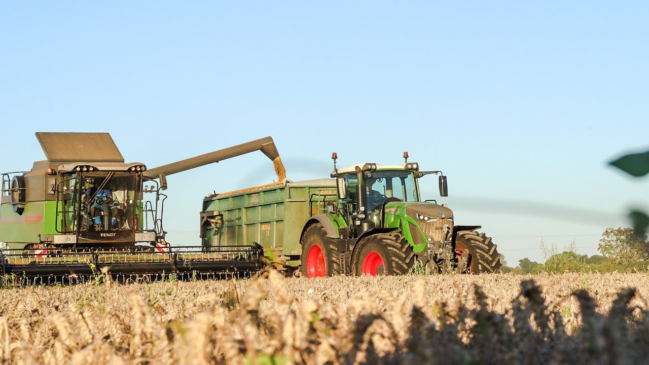 ŽNĚ 2025 ♥ - SKLIZEŇ OVSU, OZIMÉHO TRITIKÁLE A PŠENICE 🌾//ZOD ŽIVANICE 🚜//ČÁST I.