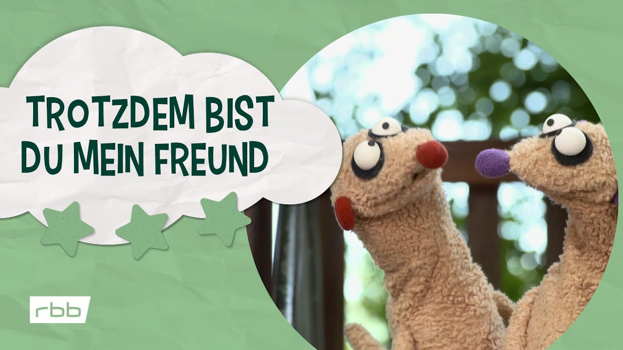 Jan und Henry Lieder: Trotzdem bist du mein Freund | Unser Sandmännchen