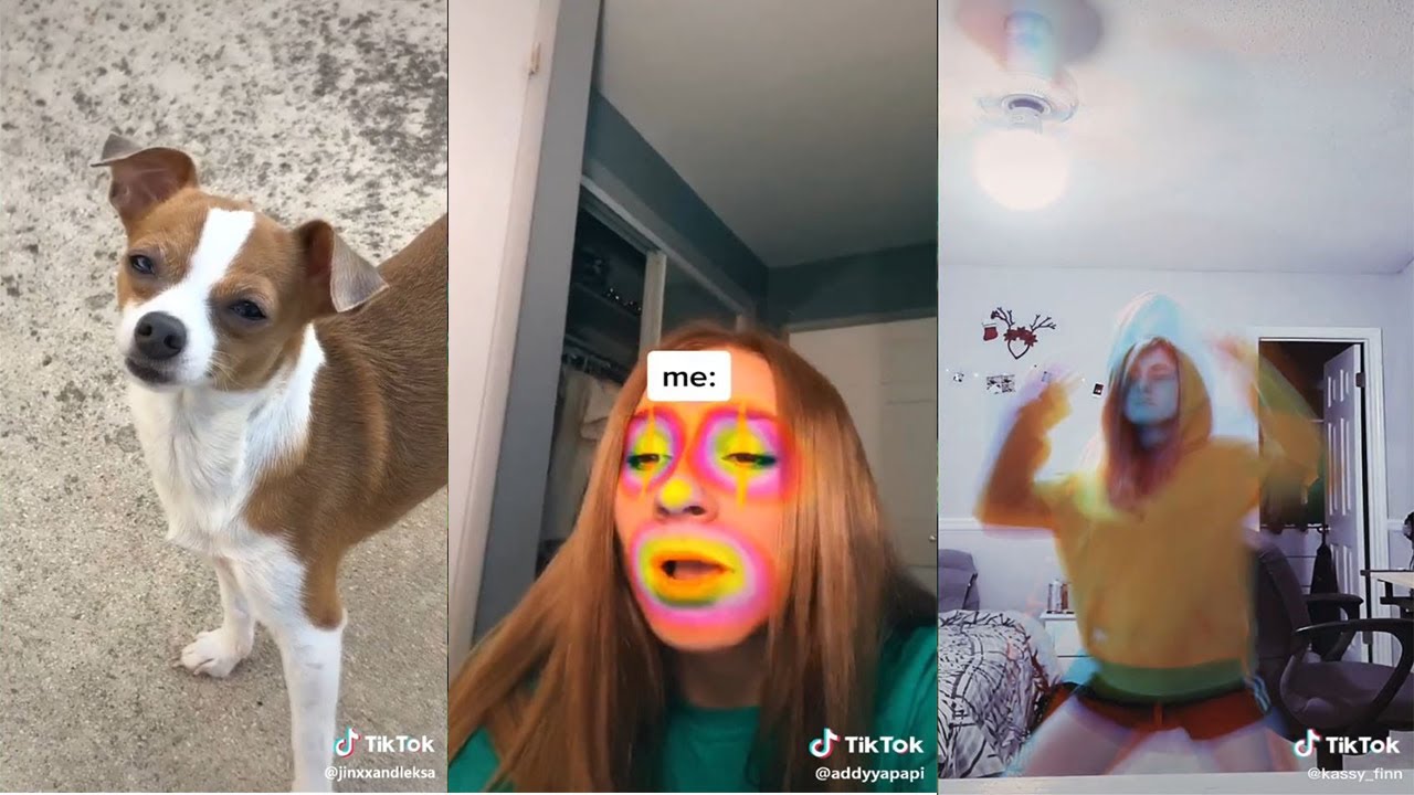 tiktoks that radiate weed energy - Fatally Stoned