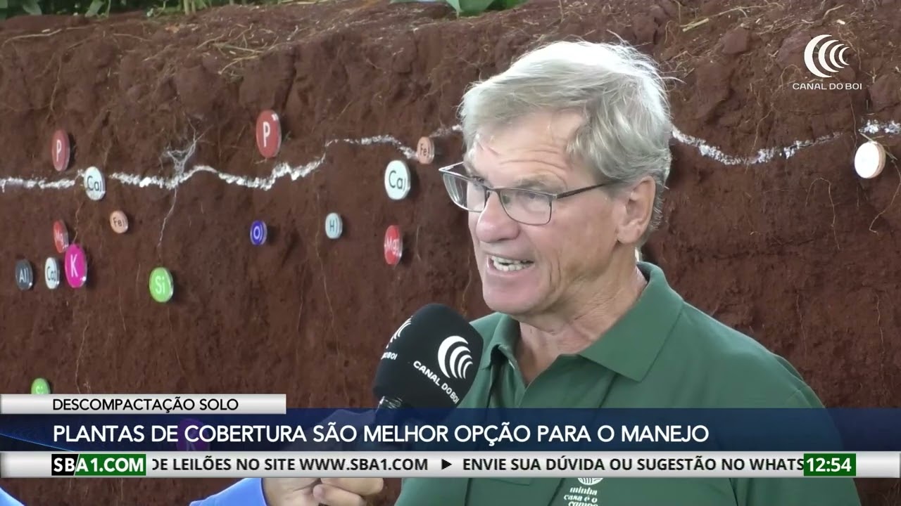 Plantas de cobertura são a melhor opção para a descompactação do solo
