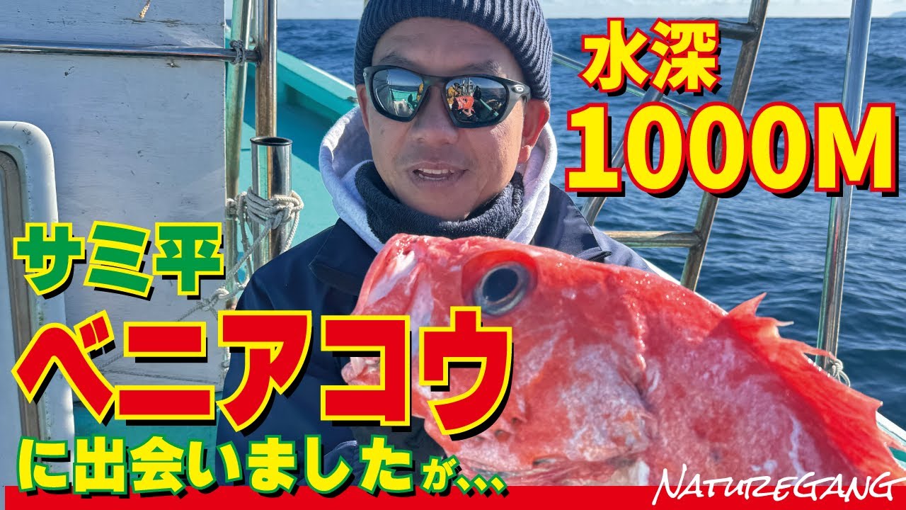 究極の深海ターゲット「ベニアコウ」！サミ平、深海1000M初挑戦がまさかのオチ！！　#釣り #竜海丸 #ベニアコウ