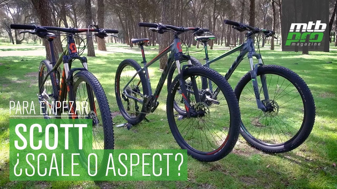 Para empezar: ¿Scott Scale o Aspect?
