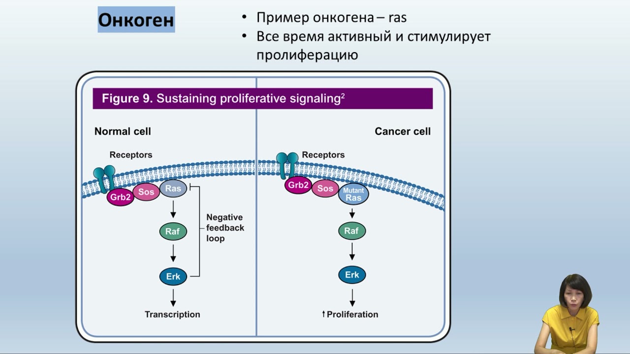 Лекция 12. Молекулярные основы канцерогенеза.