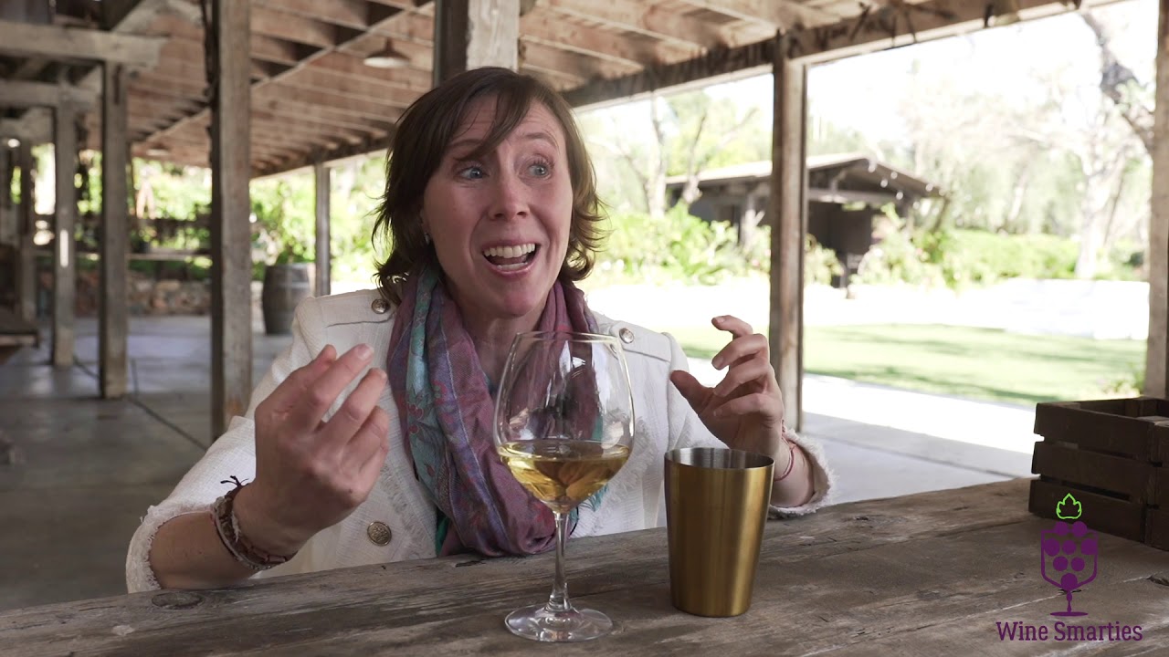 Master of Wine Blind Tastes a Gruner Veltliner