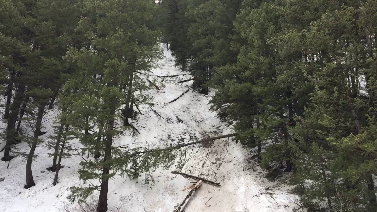Avalanche Bridge