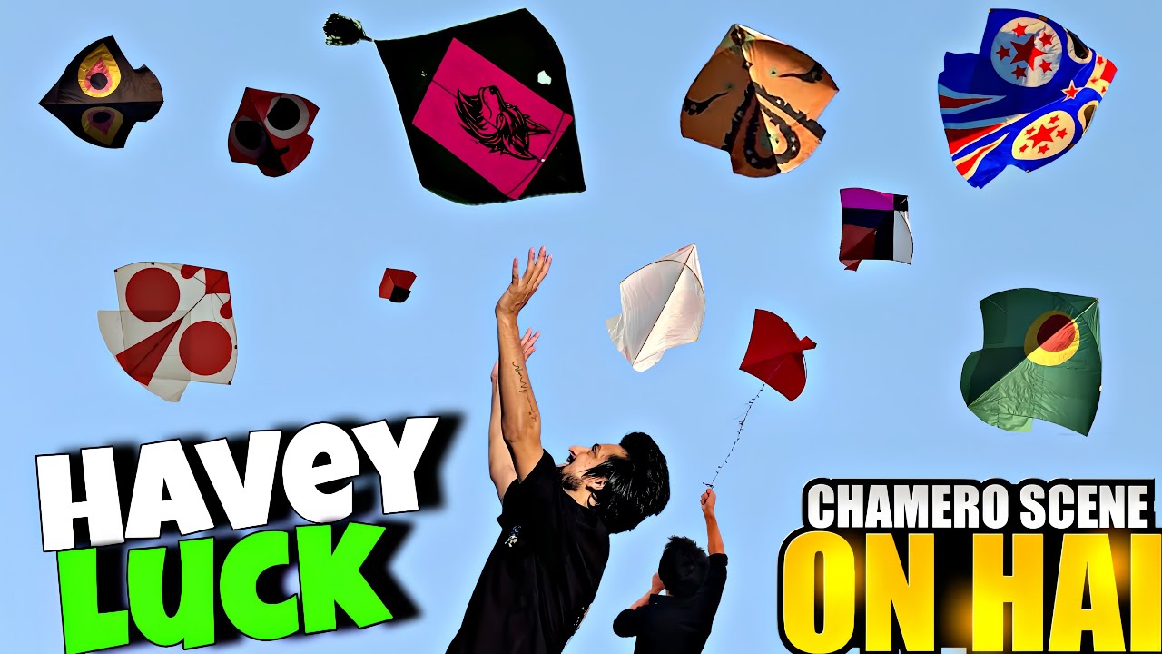 Looting And Catching So Many Kites 🤩Basant Wala Mahol || Chamero Scene Successfull 😂||Maza Agya Aj!