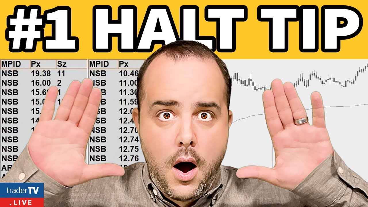 The ONLY Halt Trading Strategy You Need